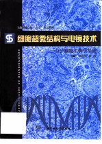 细胞超微结构与电镜技术 分子细胞生物学基础