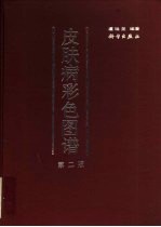 皮肤病彩色图谱 第2版