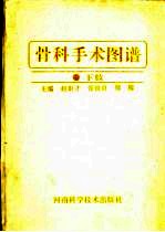 骨科手术图谱 下肢