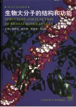 生物大分子的结构和功能