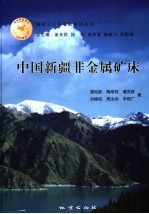 中国新疆非金属矿床