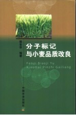 分子标记与小麦品质改良