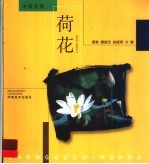 荷花 摄影集