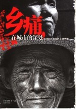 乡痛,在城市的深处 前进中的中国的乡村悲情