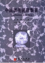 中国团毛菌目黏菌