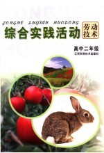 劳动技术综合实践活动 高中二年级