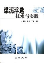煤泥浮选技术与实践