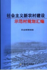 社会主义新农村建设示范村规划汇编