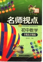 名师视点 初中数学 方程及方程组