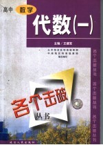 各个击破丛书 高中数学·代数1分册
