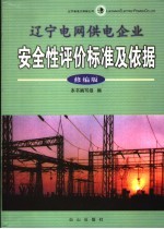 辽宁电网供电企业安全性评价标准及依据 修编版