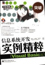 信息系统开发实例精粹 Visual Basic版
