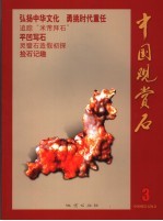 中国观赏石 3