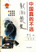 中国真的不远
