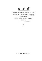 梭罗集 下