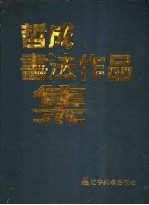 董文书法作品集