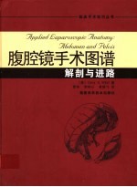 腹腔镜手术图谱 解剖与进路