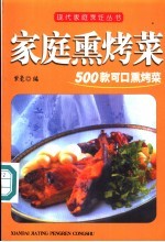 家庭熏烤菜 500款可口熏烤菜