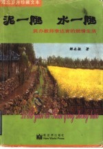 泥一腿 水一腿 民办教师李达言的燃情生活