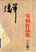 潘军实验作品集 上
