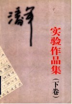 潘军实验作品集 下