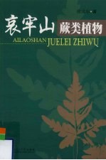 哀牢山蕨类植物