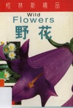 野花