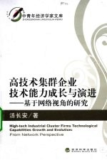 高技术集群企业技术能力成长与演进研究 基于网络视角的研究