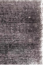 死顔 現代の宿り木