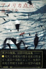 アメリカ点点 林檎