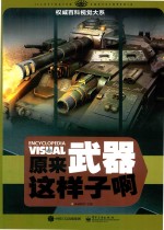 权威百科视觉大系 原来武器这样子啊