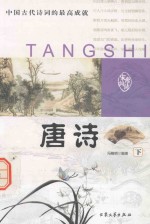 中国古代诗词的最高成就 唐诗 下