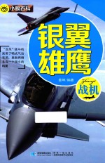 小眼百科 银翼雄鹰 战机
