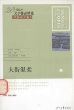 20世纪末文学作品精选 中篇小说卷 2 大街温柔 上