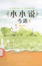 21世纪今选文丛 小小说今选 下