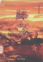 中国作家文丛 躁动