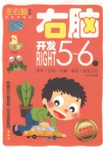 左右脑开发创意游戏书 右脑开发 5-6岁