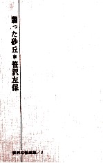 翳った砂丘