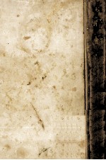 小説集 草·簪·沼