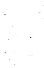 夜光時計 V