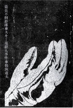 最長不倒距離 スキー場殺人事件