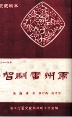 智制雷州市 交流剧本