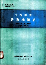 江西德安曾家垅锡矿
