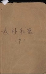 武林狂魔 中