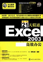 21天精通Excel 2003高效办公 双色版