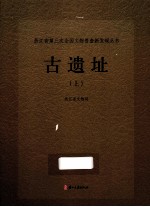 浙江省第三次全国文物普查新发现丛书 古遗址 上
