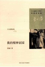 王小波精品集 我的精神家园 特别纪念版
