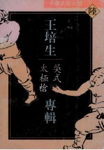 中华武术大观 6 王培生专辑 吴式太极枪