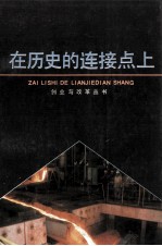 在历史的连接点上 报告文学集