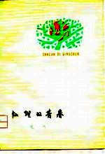 灿烂的青春